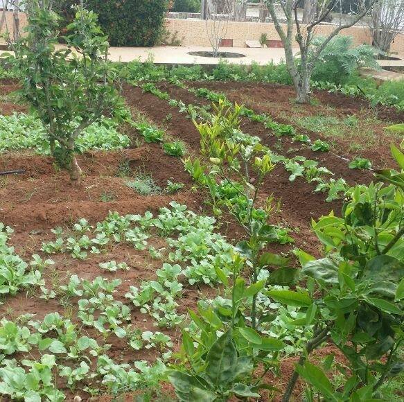 508375080_9841460359315368_9047513504874041990_n